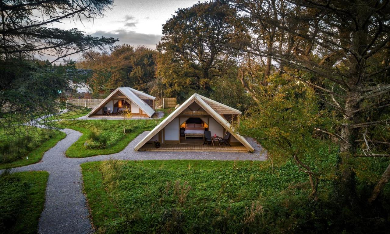 Killarney Glamping At The Grove, Suites And Lodges Exterior foto