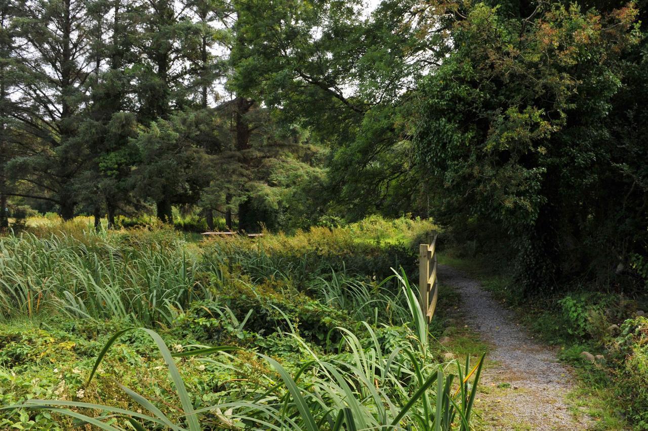Killarney Glamping At The Grove, Suites And Lodges Exterior foto