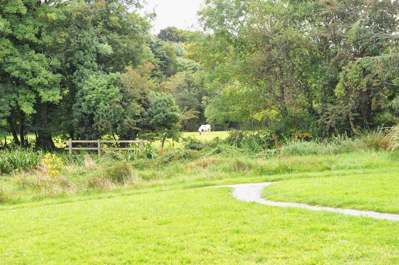 Killarney Glamping At The Grove, Suites And Lodges Exterior foto