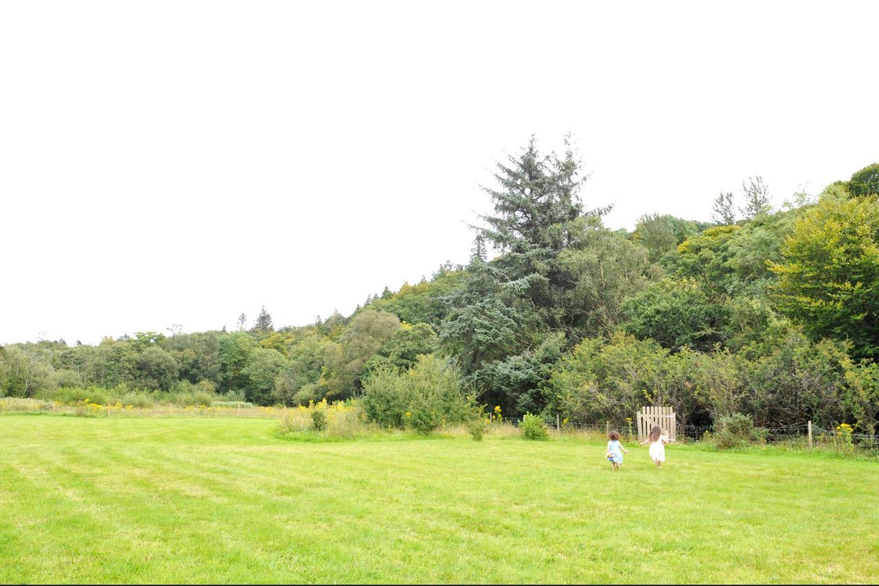 Killarney Glamping At The Grove, Suites And Lodges Exterior foto