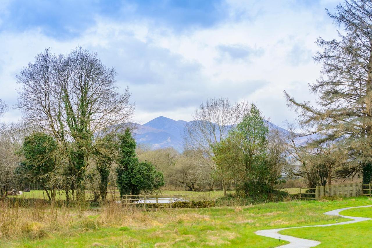 Killarney Glamping At The Grove, Suites And Lodges Exterior foto