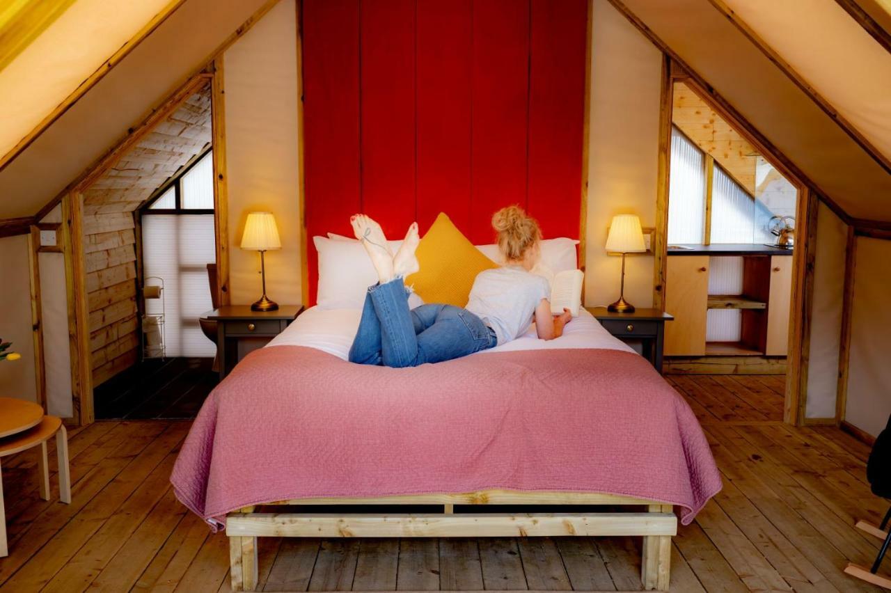 Killarney Glamping At The Grove, Suites And Lodges Exterior foto
